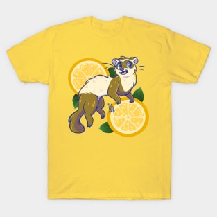 Orange Ferret Splash T-Shirt